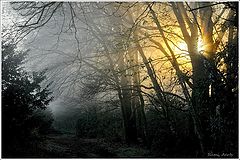 photo "***"