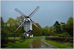 photo "***"