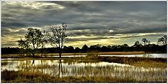 photo "***"