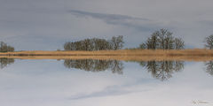 photo "***"