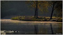 photo "***"