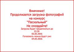 photo "***"