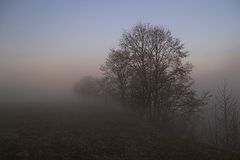 photo "***"