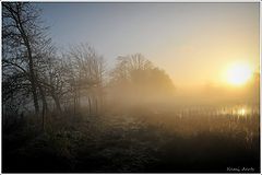 photo "***"