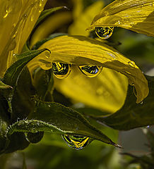 photo "***"