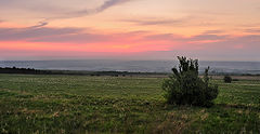 photo "***"
