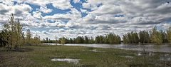 фото "Майские разливы"