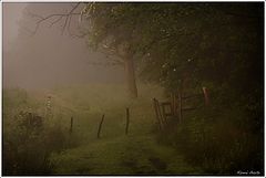 photo "***"