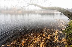 фото "Санкт-Петербург"