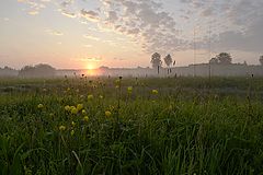 photo "***"
