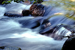 photo "***"