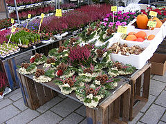 photo "Street market"
