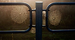 photo "***"