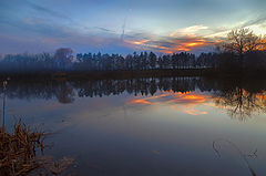 photo "***"