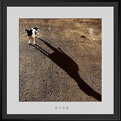 photo "***"