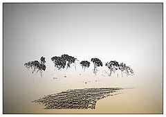 photo "***"