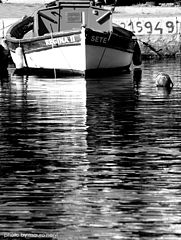 фото "reflections"