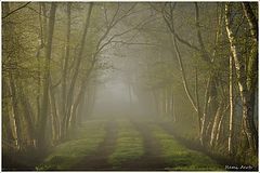 photo "***"