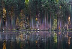 photo "***"