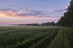 фото "Сумерки"