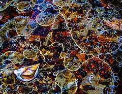 photo "***"