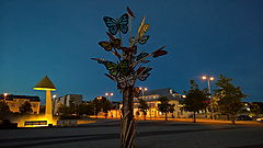 photo "***"