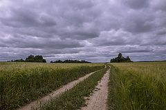 фото "а где-то там осталось детство..."