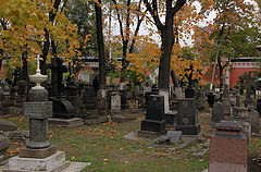 фото "В Донском монастыре"