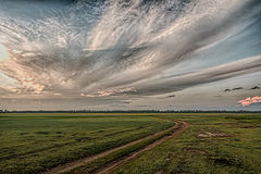 фото "Перекликнулось"