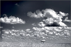 photo "***"