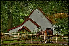 photo "open air museum Bokrijk Genk"