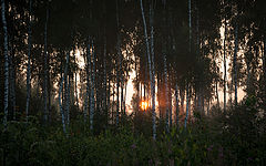 photo "***"