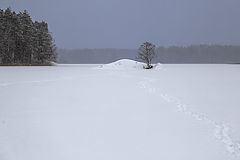 photo "***"