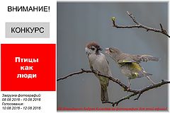 photo "***"