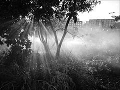 photo "DewMaker"