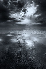 photo "***"