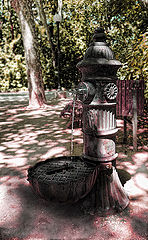 photo "Oasis"