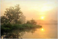 photo "***"