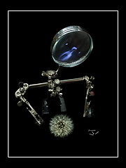 photo "***"