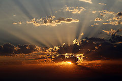 photo "***"