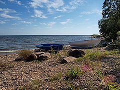 photo "on the shore of Lake Peipsi. Nina village"