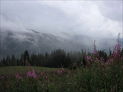 photo "birth of clouds"