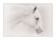 photo "***"