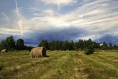 photo "***"