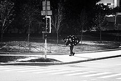 photo "***"