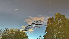 photo "They are always there"