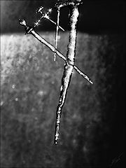 photo "***"