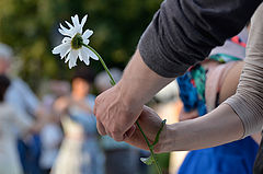 photo "***"