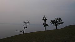 photo "***"