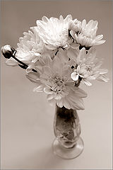 photo "***"